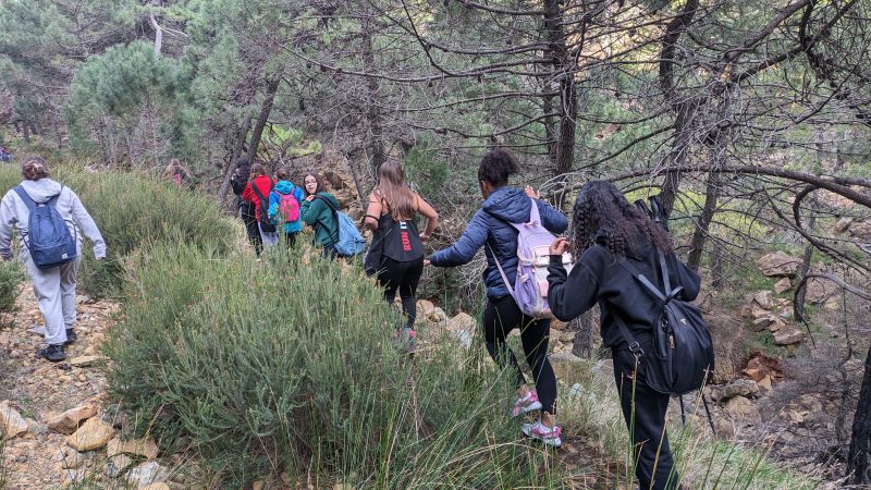 Imagen de WhatsApp 2024 02 07 a las 15.07.01 09ecbcb6